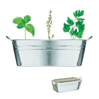 KIT VASO 3 ERBE
